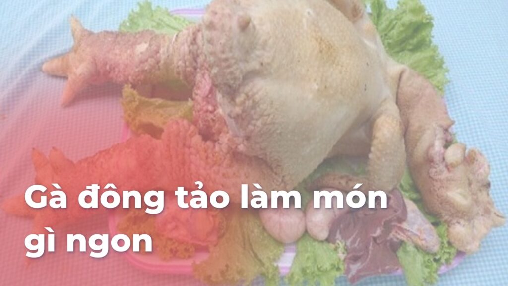 Gà đông tảo làm món gì ngon