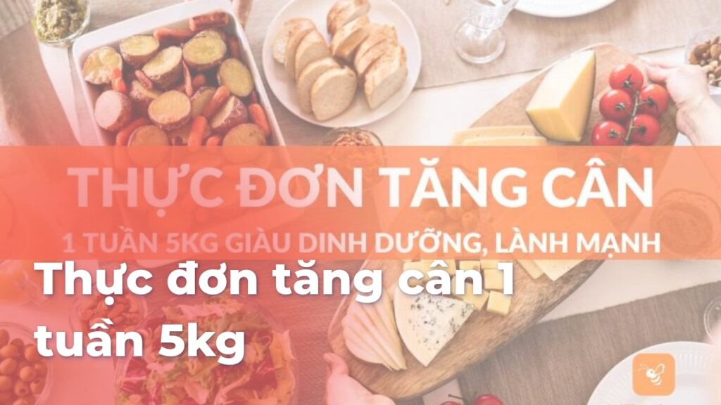 Thực đơn tăng cân 1 tuần 5kg