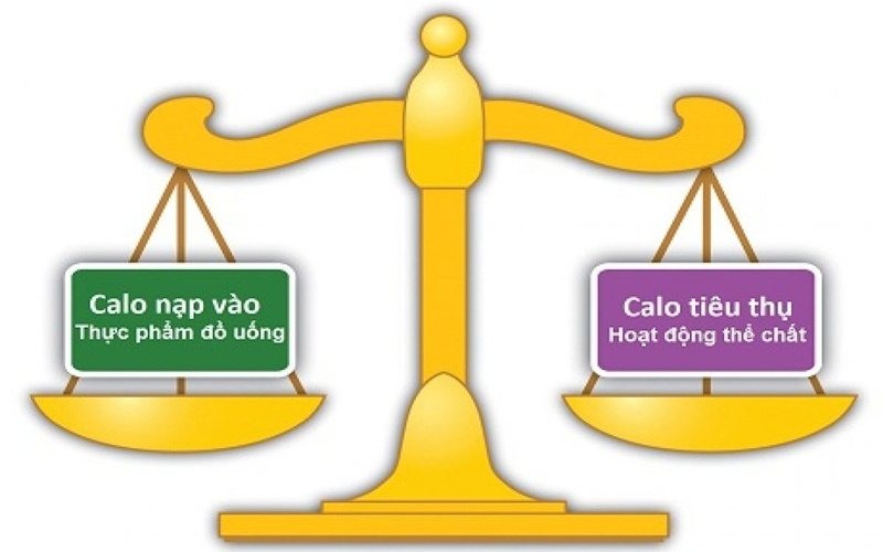 Nên nắm rõ nguyên tắc nạp và tiêu thụ Calo