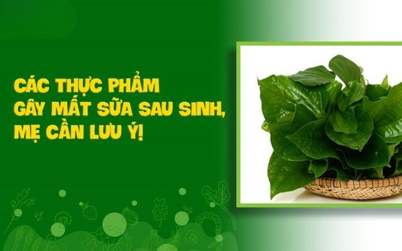 Các thực phẩm gây mất sữa mà mẹ sinh thường nên tránh