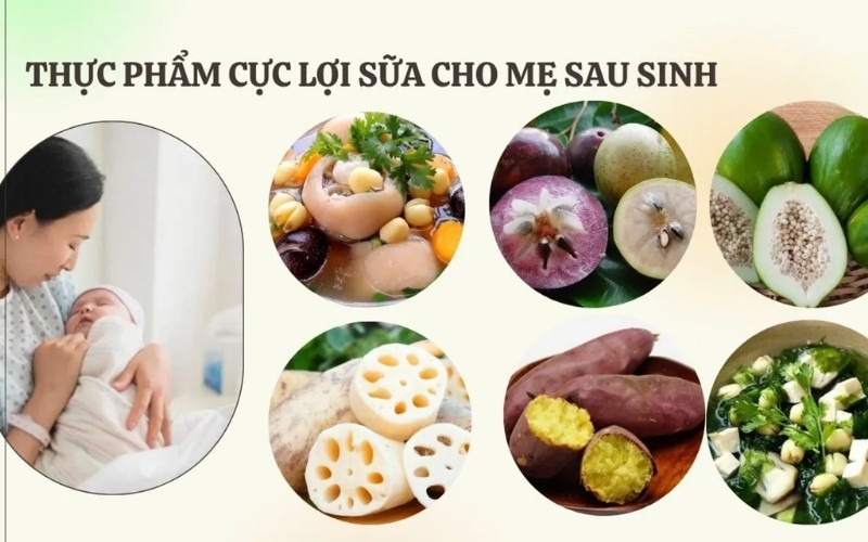 Các thực phẩm lợi sữa mà mẹ sau sinh nên tham khảo