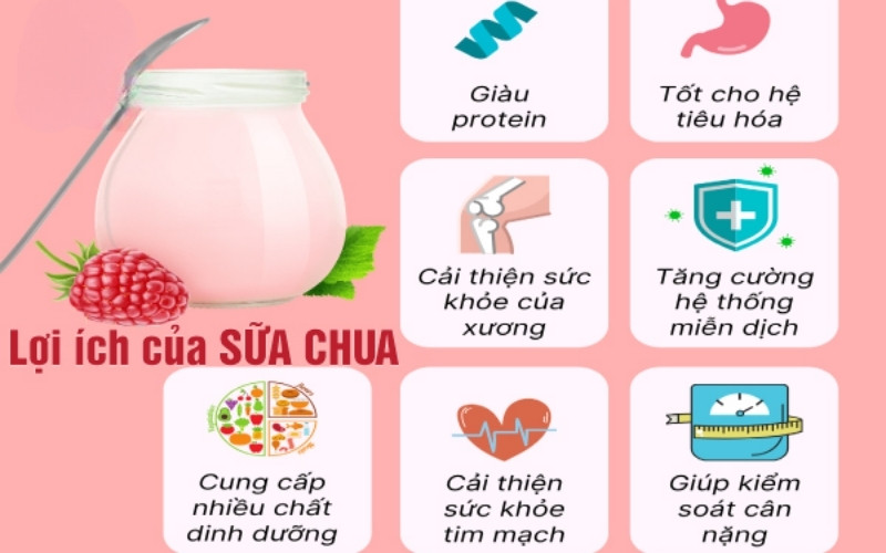 Lợi ích sức khỏe từ sữa chua nhà làm với sữa ông Thọ