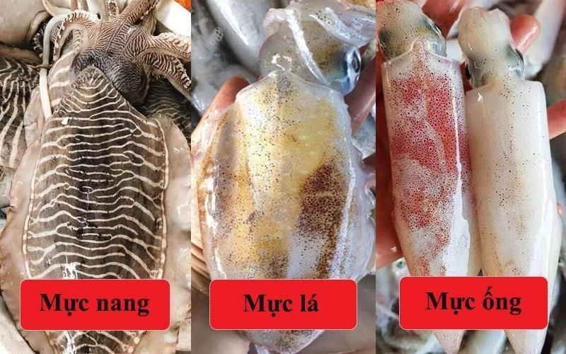 So sánh các loại mực và bí quyết nướng phù hợp từng loại