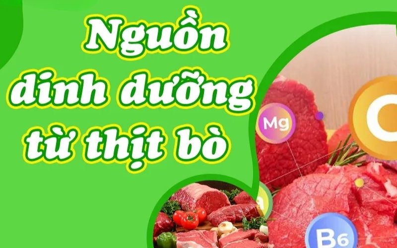 Lẩu thập cẩm mang đến nhiều lợi ích nhờ nguyên liệu đa dạng