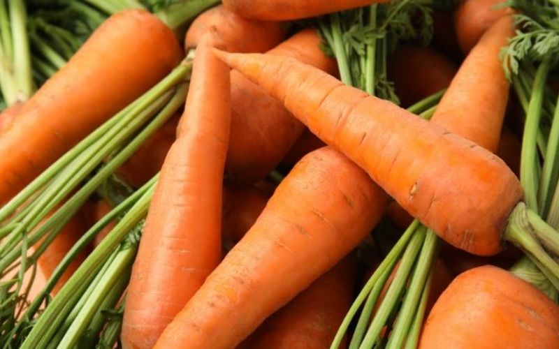 3 cách làm nộm đu đủ giòn ngon, không bị thâm hay mềm nhũn 8 Mẹo mua cà rốt tươi ngon
