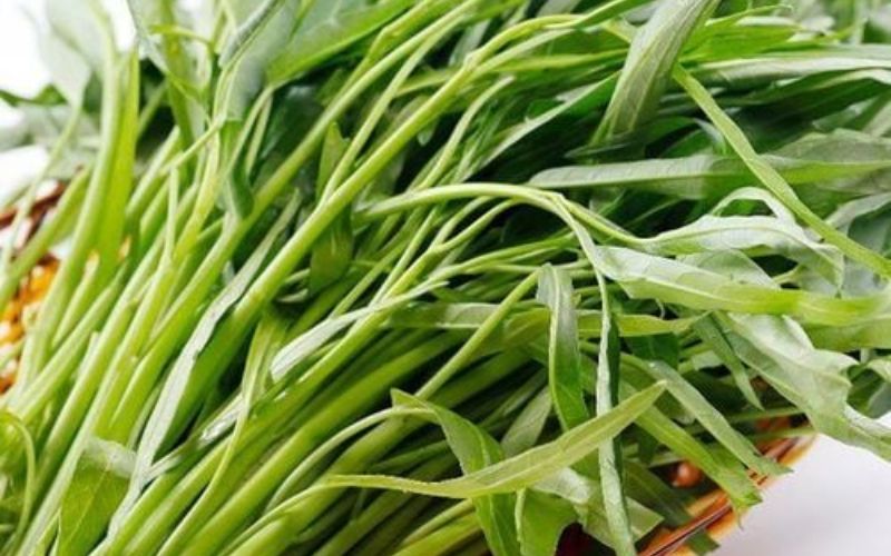Gợi ý cách làm ốc móng tay xào rau muống giòn ngon khó cưỡng 2 Kinh nghiệm lựa chọn rau muống tươi xanh